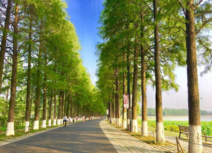 武汉怎么玩得悠闲又地道 本地人私藏的休闲指南